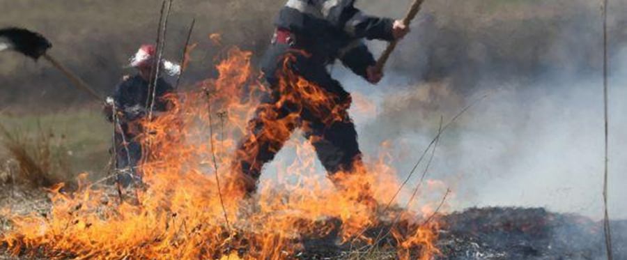 Și în weekend au fost incendii de vegetație în tot județul; Acestea au afectat circa 50 de hectare de teren