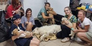 Un maraton de binefacere: 277 micuți, pisici și câini, sterilizați, în cadrul campaniei speciale, realizate zilele trecute, de „Salvați Animalele”!