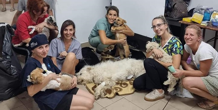 Un maraton de binefacere: 277 micuți, pisici și câini, sterilizați, în cadrul campaniei speciale, realizate zilele trecute, de „Salvați Animalele”!