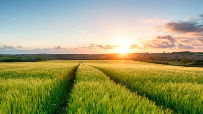 Cadrul legislativ a fost modificat, astfel încât impozitul de 80% din câștiguri la vânzarea unui teren agricol la puțin timp de la cumpărare este acum aplicabil