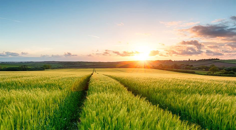 Cadrul legislativ a fost modificat, astfel încât impozitul de 80% din câștiguri la vânzarea unui teren agricol la puțin timp de la cumpărare este acum aplicabil