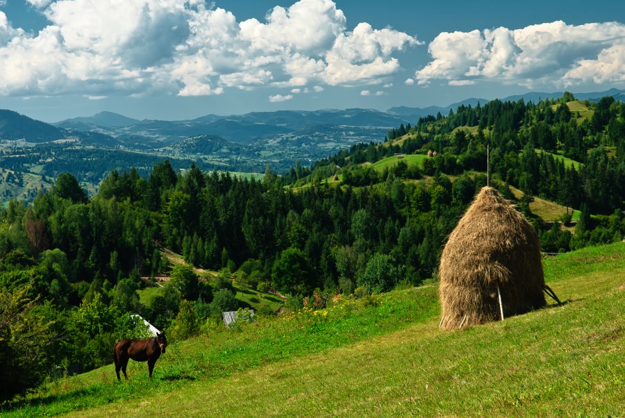 Analiza meteo 4 săptămâni acum în Maramureș: Vreme normală este așteptată în regiunea noastră! Un mix, soare și ploi! Iată și statistica pe o lună!