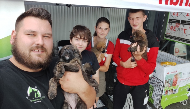 Alături de prietenii necuvântători: Bilanțul târgului de adopții și colectă de hrană pentru animale este îmbucurător