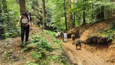 Mai mulți studenți au făcut practică geologică în Maramureș