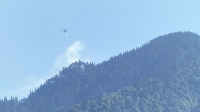 Incendiu de fond forestier pe Valea Vaserului