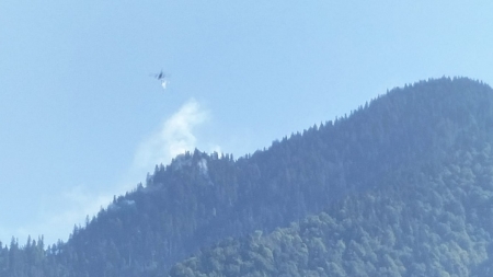 Incendiu de fond forestier pe Valea Vaserului