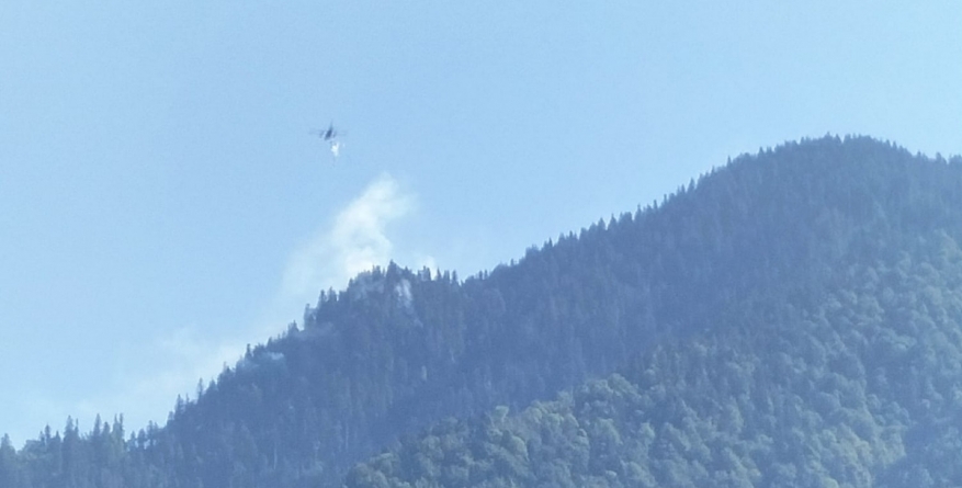 Incendiu de fond forestier pe Valea Vaserului