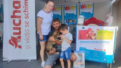 Un nou succes al Asociației Fight For Animals: Cățeluși adoptați și cantitate impresionantă de hrană pentru câini și pisici, în cele două zile ale acțiunii!