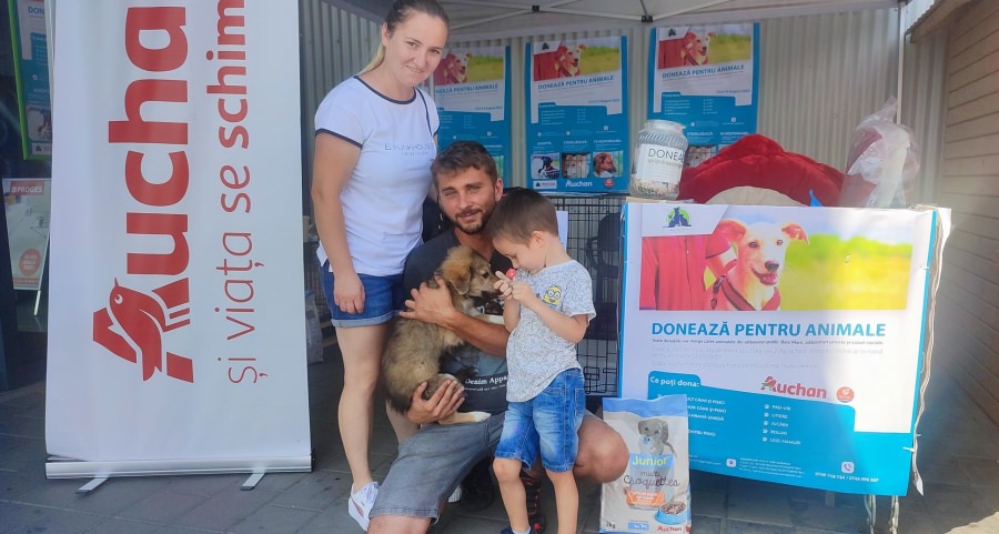 Un nou succes al Asociației Fight For Animals: Cățeluși adoptați și cantitate impresionantă de hrană pentru câini și pisici, în cele două zile ale acțiunii!