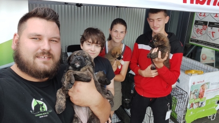 FĂ VIAȚA MAI FRUMOASĂ: Fight For Animals Baia Mare, activa asociație care susține prietenii blănoși, inițiază acțiune de adopții, colectă de hrană!