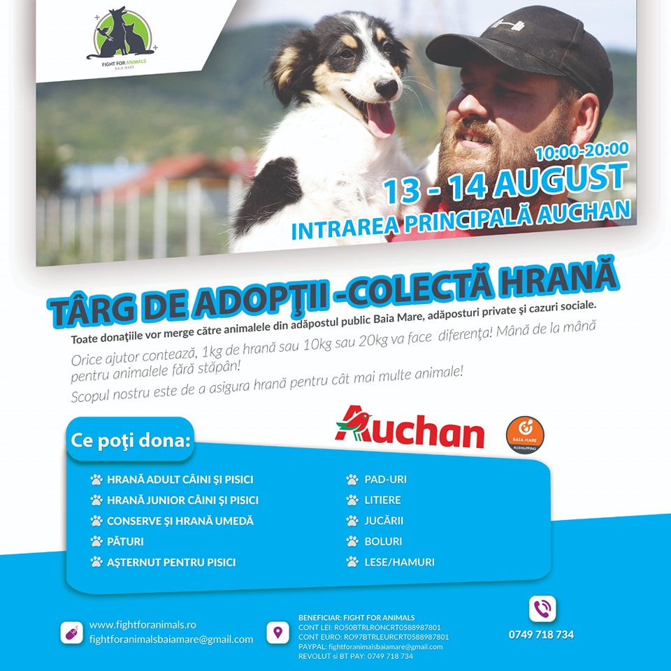 companion mute Openly FĂ VIAȚA MAI FRUMOASĂ: Fight For Animals Baia Mare, activa asociație care  susține prietenii blănoși, inițiază acțiune de adopții, colectă de hrană!