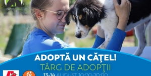 ÎN WEEKENDUL 13-14 AUGUST: Fight For Animals Baia Mare, activa asociație care susține prietenii blănoși, are acțiunea de adopții, colecta de hrană!