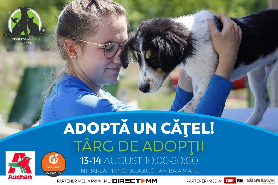 ÎN WEEKENDUL 13-14 AUGUST: Fight For Animals Baia Mare, activa asociație care susține prietenii blănoși, are acțiunea de adopții, colecta de hrană!