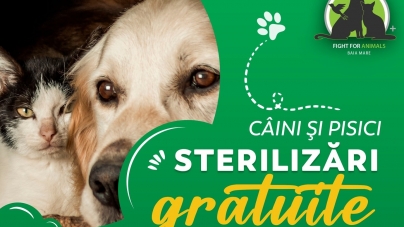 În 9-11 septembrie 2022: Fight For Animals Baia Mare, activa asociație care susține prietenii blănoși, are campanie sterilizări de pisici și câini!