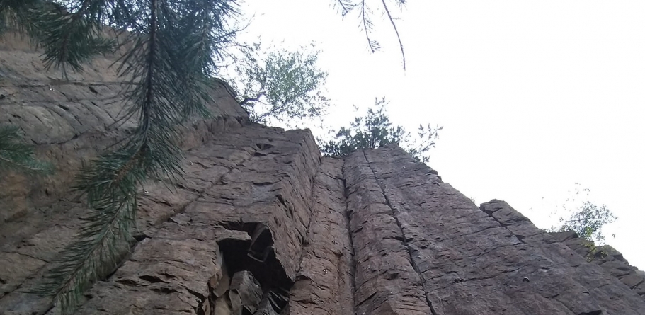 Atenție, cățărători! Viperă observată pe coloanele Limpedea!