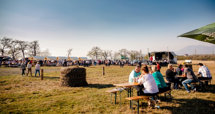 În weekend va avea loc cea de-a II-a ediție a Sărbătorii Toamnei la Groși