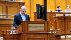 Călin Bota, vicepreședinte al Comisiei pentru buget, finanțe și bănci din Camera Deputaților