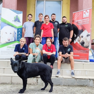 În luna aprilie 2023: Fight For Animals Baia Mare, activa asociație care susține prietenii blănoși, are campania cu nr 7 de sterilizări în Lăpușel!