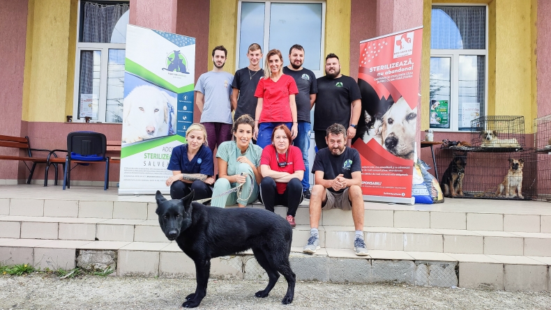 În luna aprilie 2023: Fight For Animals Baia Mare, activa asociație care susține prietenii blănoși, are campania cu nr 7 de sterilizări în Lăpușel!