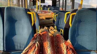 Lemne transportate cu autobuzul fără documente de proveniență