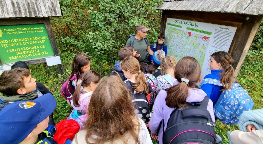 Idee atractivă pentru vacanță: Acțiuni în aria naturală protejată Cheile Lăpușului printre adevăratele frumuseți ale zonei! Care va fi prioritatea!