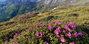 Salvamont Maramureș, sfaturi importante pentru pasionații de drumeții