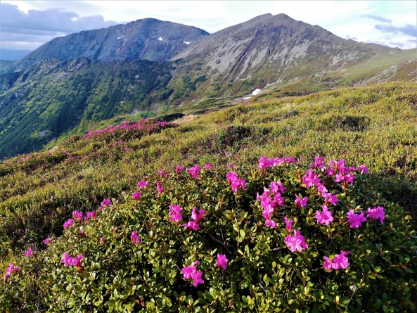 Salvamont Maramureș, sfaturi importante pentru pasionații de drumeții