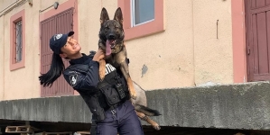 Starul săptămânii este Foxy: Câine polițist maramureșean și conductorul său, lăudați pentru eficacitatea deosebită! Iată și care e motivul special!