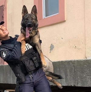 Starul săptămânii este Foxy: Câine polițist maramureșean și conductorul său, lăudați pentru eficacitatea deosebită! Iată și care e motivul special!