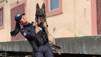 Starul săptămânii este Foxy: Câine polițist maramureșean și conductorul său, lăudați pentru eficacitatea deosebită! Iată și care e motivul special!