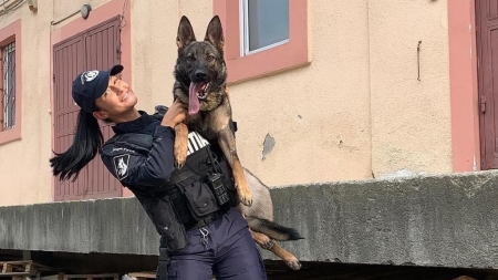 Starul săptămânii este Foxy: Câine polițist maramureșean și conductorul său, lăudați pentru eficacitatea deosebită! Iată și care e motivul special!