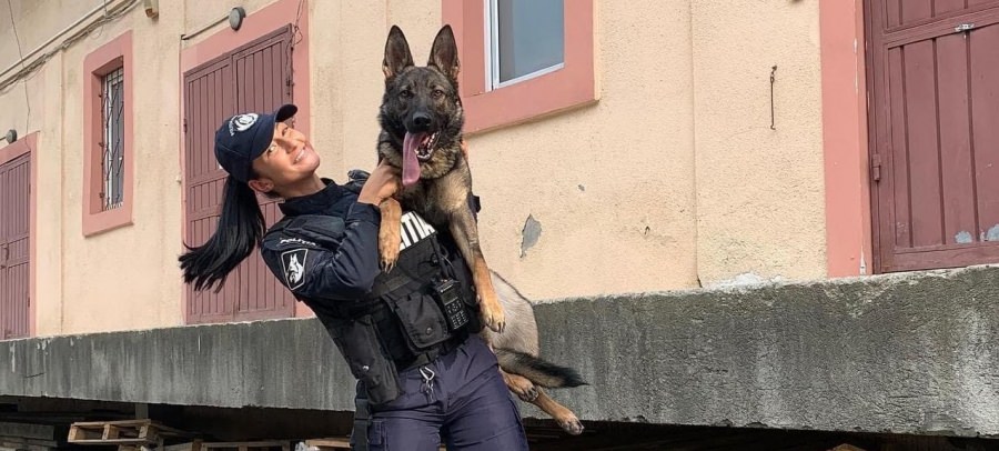 Starul săptămânii este Foxy: Câine polițist maramureșean și conductorul său, lăudați pentru eficacitatea deosebită! Iată și care e motivul special!
