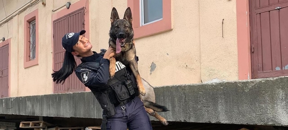 Starul săptămânii este Foxy: Câine polițist maramureșean și conductorul său, lăudați pentru eficacitatea deosebită! Iată și care e motivul special!