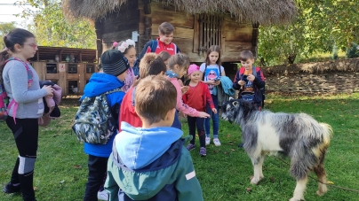 Oaspeți micuți la Muzeul Satului Baia Mare!