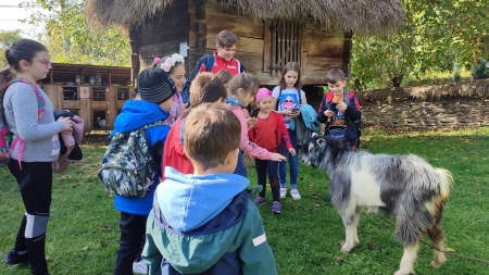 Oaspeți micuți la Muzeul Satului Baia Mare!