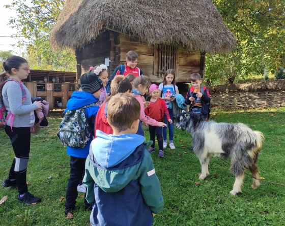 Oaspeți micuți la Muzeul Satului Baia Mare!