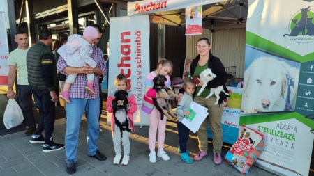Un succes al Asociației Fight For Animals: Cinci adopții dar și o cantitate impresionantă de hrană colectată acum, destinată pisicilor și câinilor!