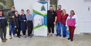 Campanie specială în forță: Fight For Animals Baia Mare, nouă acțiune în sprijinul prietenilor blănoși! În 9 ore, 48 animăluțe sterilizate oficial!