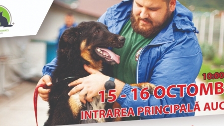 Vei adopta sigur fericirea: Fight For Animals Baia Mare, activa asociație care susține prietenii blănoși, are acțiune de adopții, colectă de hrană!