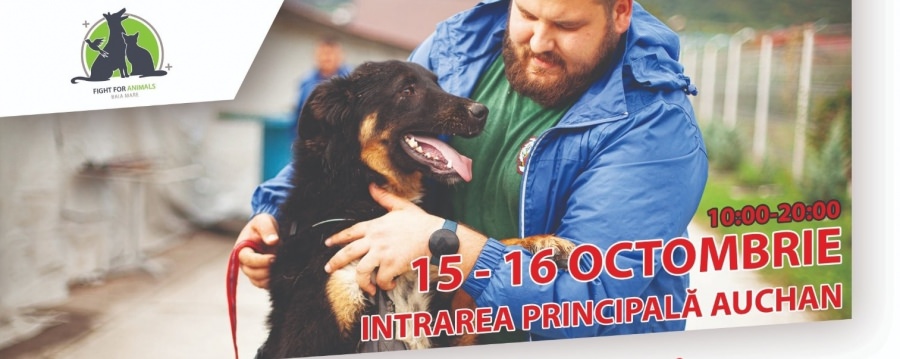 Vei adopta sigur fericirea: Fight For Animals Baia Mare, activa asociație care susține prietenii blănoși, are acțiune de adopții, colectă de hrană!