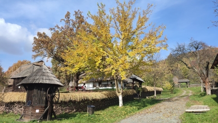 Vremea exactă în Maramureș, marți, 1 noiembrie