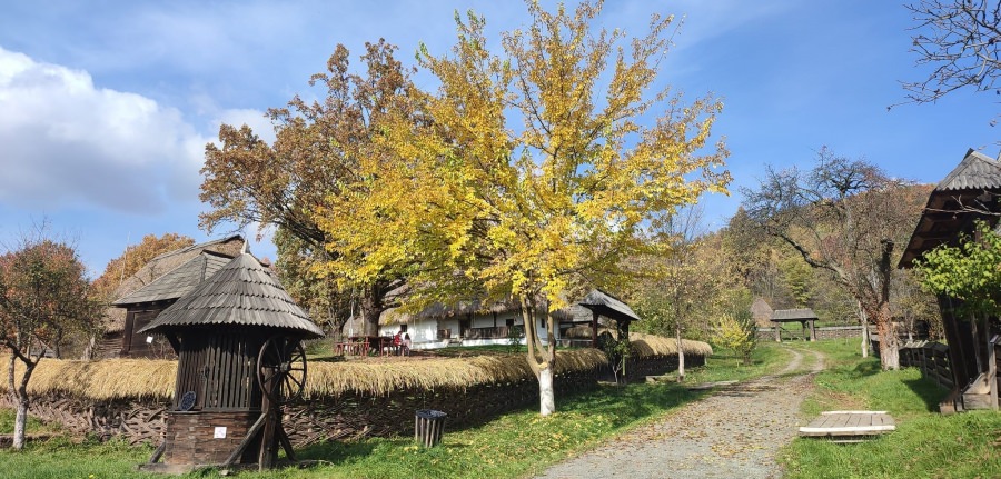Ghidaj gratuit și proiecție de filme la Muzeul Satului din Baia Mare