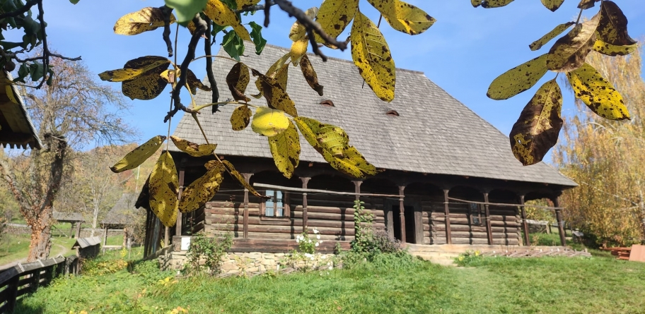 Vremea exactă în Maramureș, joi, 3 noiembrie