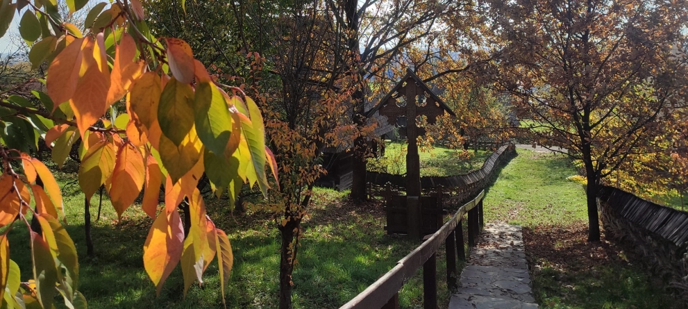 Vremea exactă în Maramureș, sâmbătă, 5 noiembrie