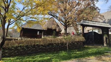 Vremea exactă în Maramureș, vineri, 4 noiembrie