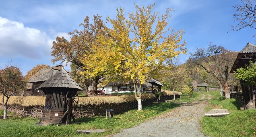 De la 1 noiembrie: Se schimbă programul de vizitare la Muzeul Satului din Baia Mare
