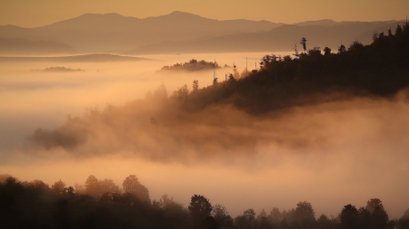 Vremea exactă în Maramureș, luni, 31 octombrie