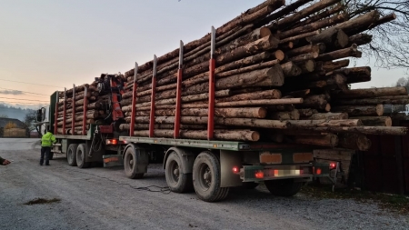 Controale efectuate pentru combaterea faptelor ilegale în domeniul silvic; Ce amenzi s-au dat