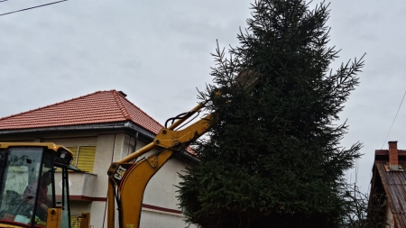 Baia Sprie se împodobește: În orașul maramureșean, anunț important cu privire la iluminatul sărbătoresc! Află când este funcțional Parcul Copiilor!