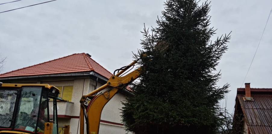 Baia Sprie se împodobește: În orașul maramureșean, anunț important cu privire la iluminatul sărbătoresc! Află când este funcțional Parcul Copiilor!